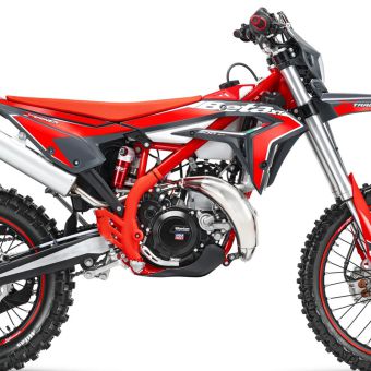 Beta_X-Trainer_2026_02