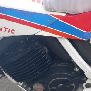 FANTIC_243_1988_03