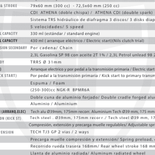 ficha-tecnica-trrs-one-rr-injection-2027